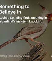Memoir Land: Something to Believe In